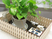 Grove Smart Plant Care Kit view of a setup with a plant